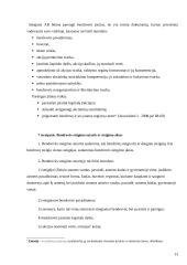 Verslo steigimo problemos ir kaip jų išvengti 13 puslapis