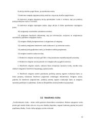 Verslo steigimo problemos ir kaip jų išvengti 14 puslapis