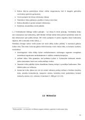 Verslo steigimo problemos ir kaip jų išvengti 15 puslapis