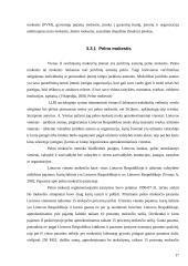 Verslo steigimo problemos ir kaip jų išvengti 17 puslapis