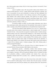 Verslo steigimo problemos ir kaip jų išvengti 19 puslapis