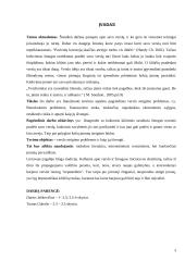 Verslo steigimo problemos ir kaip jų išvengti 3 puslapis