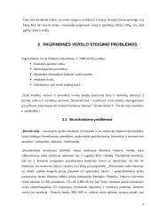 Verslo steigimo problemos ir kaip jų išvengti 6 puslapis