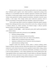 Verslo valdymo sistemos 2 puslapis