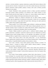 Verslo valdymo sistemos 11 puslapis