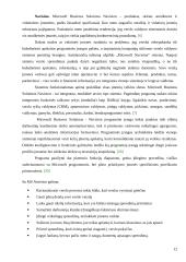 Verslo valdymo sistemos 12 puslapis