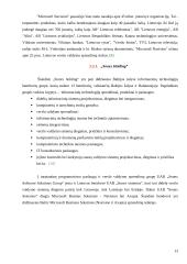 Verslo valdymo sistemos 13 puslapis