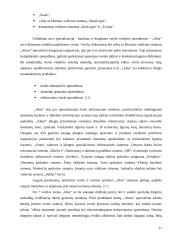 Verslo valdymo sistemos 17 puslapis