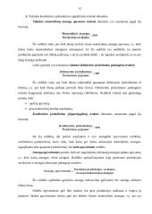 Verslo veiklos vertinimas: AB "Gubernija" 13 puslapis