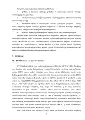 Vertybinių popierių birža ir jos veiklos vertinimas 16 puslapis