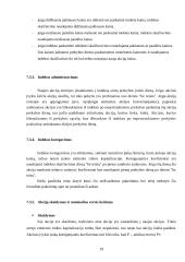 Vertybinių popierių birža ir jos veiklos vertinimas 19 puslapis