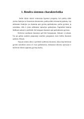 Veterinarijos ligoninės apskaitos sistema 3 puslapis