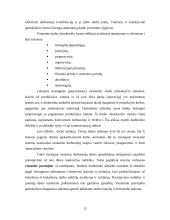 Vienetinės darbo užmokesčio formos ir atmainos 11 puslapis