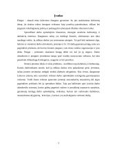Vienetinės darbo užmokesčio formos ir atmainos 2 puslapis