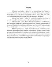 Vykdomų programų analizė: Mažeikių miesto lopšelis-darželis 16 puslapis