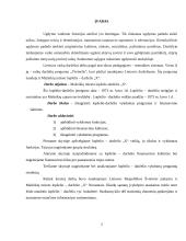 Vykdomų programų analizė: Mažeikių miesto lopšelis-darželis 3 puslapis