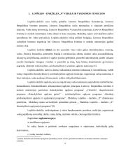 Vykdomų programų analizė: Mažeikių miesto lopšelis-darželis 4 puslapis
