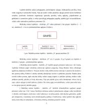 Vykdomų programų analizė: Mažeikių miesto lopšelis-darželis 5 puslapis