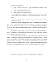 Vykdomų programų analizė: Mažeikių miesto lopšelis-darželis 6 puslapis