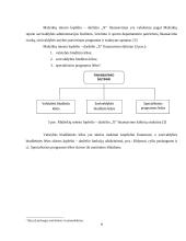 Vykdomų programų analizė: Mažeikių miesto lopšelis-darželis 8 puslapis