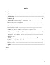 Vilties (tikėjimo) semantika rašytojų lietuvių literatūros poezijoje 2 puslapis