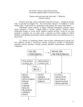 Vilties (tikėjimo) semantika rašytojų lietuvių literatūros poezijoje 17 puslapis