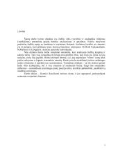 Vilties (tikėjimo) semantika rašytojų lietuvių literatūros poezijoje 4 puslapis