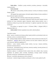 Vyresnių moksleivių požiūris į aktyvų laisvalaikį 3 puslapis