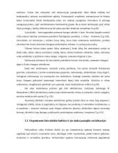 Vyresnių moksleivių požiūris į aktyvų laisvalaikį 6 puslapis