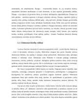 Vyresnių moksleivių požiūris į aktyvų laisvalaikį 9 puslapis