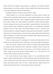 Virtualus literatūrinis Lietuvos gyvenimas ir jo ypatumai 10 puslapis