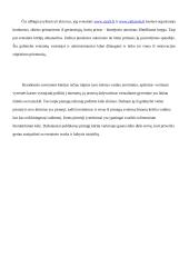 Virtualus literatūrinis Lietuvos gyvenimas ir jo ypatumai 11 puslapis