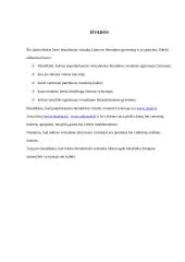 Virtualus literatūrinis Lietuvos gyvenimas ir jo ypatumai 14 puslapis