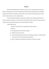 Virtualus literatūrinis Lietuvos gyvenimas ir jo ypatumai 2 puslapis