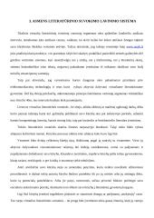 Virtualus literatūrinis Lietuvos gyvenimas ir jo ypatumai 9 puslapis
