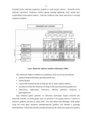 Žemės ūkio verslo organizacijos struktūra ir jos tobulinimas 11 puslapis