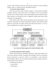 Žemės ūkio verslo organizacijos struktūra ir jos tobulinimas 12 puslapis