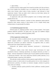 Žemės ūkio verslo organizacijos struktūra ir jos tobulinimas 13 puslapis