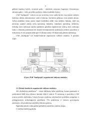 Žemės ūkio verslo organizacijos struktūra ir jos tobulinimas 20 puslapis