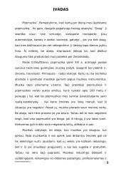 Žiniasklaidos vaidmuo muzikos vadyboje 3 puslapis