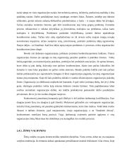 Žinių organizacija telemarketingo įmonėje 11 puslapis