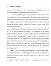 Žinių organizacija telemarketingo įmonėje 15 puslapis