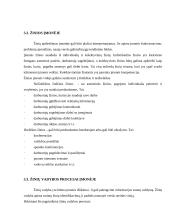 Žinių organizacija telemarketingo įmonėje 17 puslapis