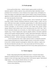 Žinių visuomenė ir jos raida Lietuvoje 11 puslapis