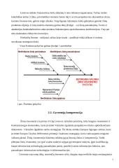 Žinių visuomenė ir jos raida Lietuvoje 6 puslapis