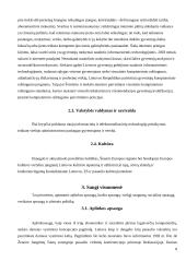 Žinių visuomenė ir jos raida Lietuvoje 7 puslapis