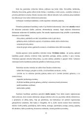Žmogiškieji ištekliai 15 puslapis