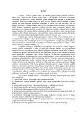 Žuvitakio projektavimas 2 puslapis