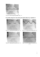 Pereinamųjų procesų RC ir RL grandyse tyrimas naudojant oscilografą 3 puslapis