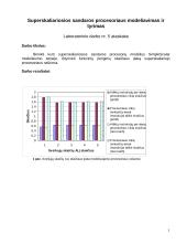 Superskaliariosios sandaros procesoriaus modeliai 1 puslapis